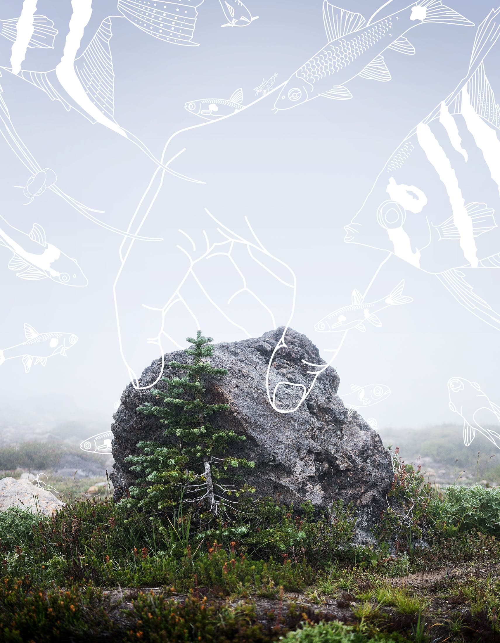 Aquascape Therapy — The Book