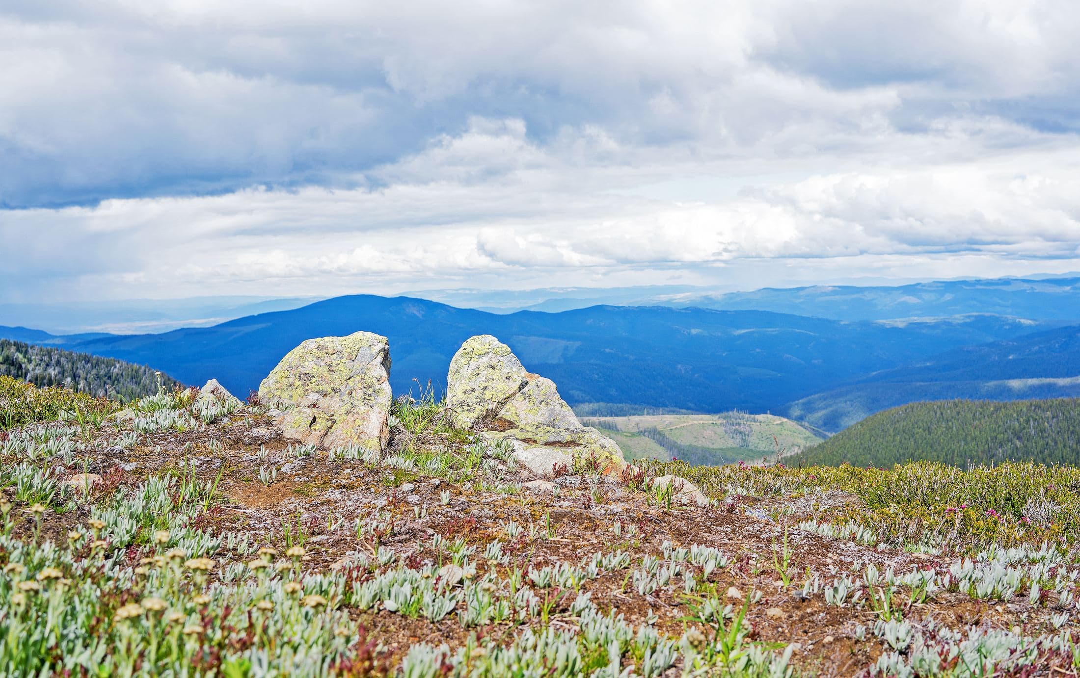 Kicking Horse / Heather Trail, E.C. Manning Park, B.C., Canada
