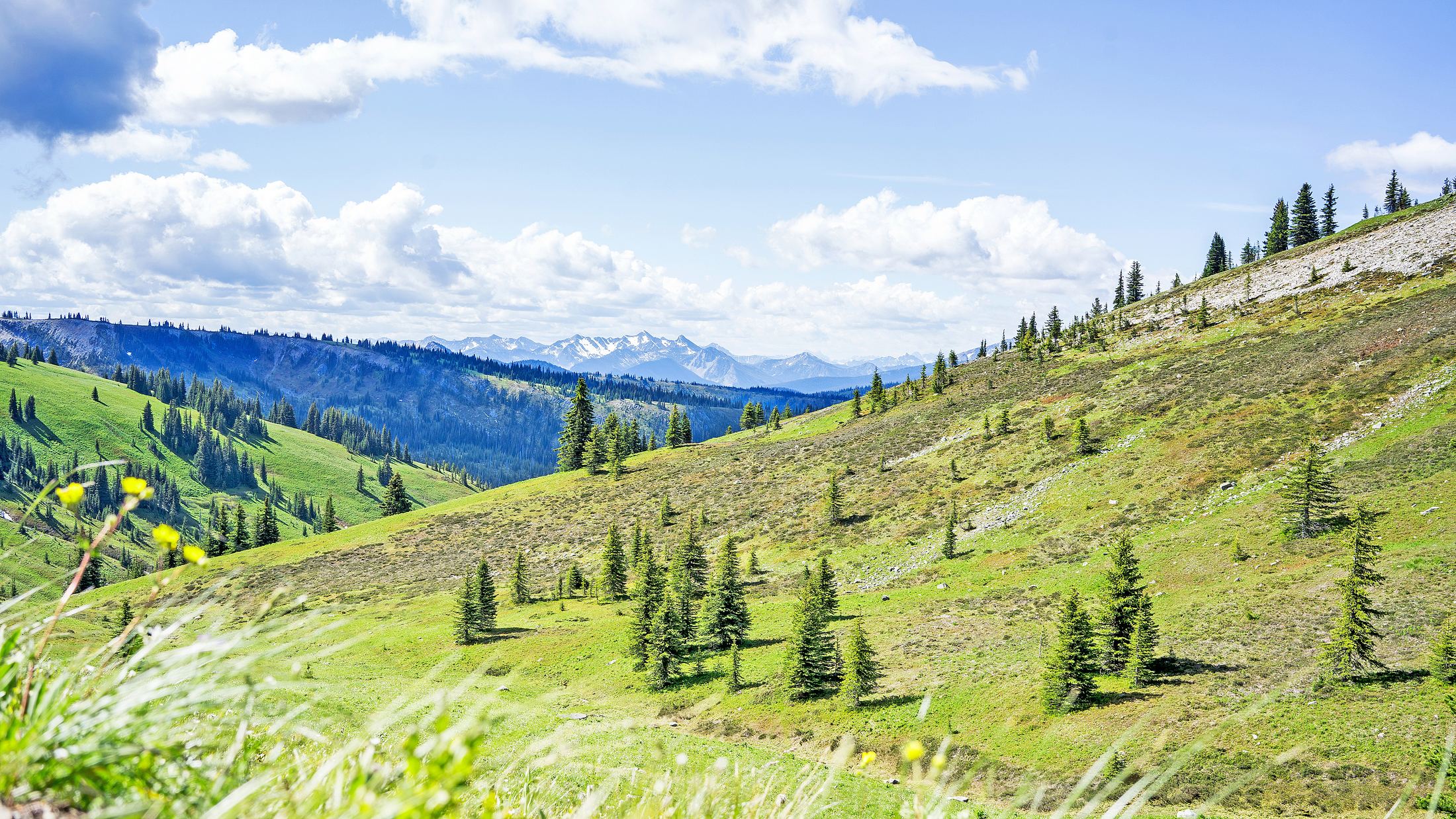 Kicking Horse / Heather Trail, E.C. Manning Park, B.C., Canada
