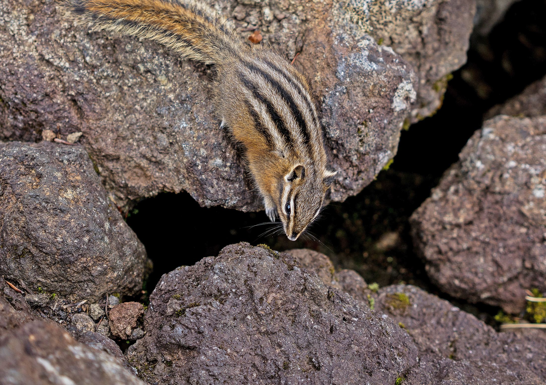 Garibaldi Lake, Squamish, B.C., Canada